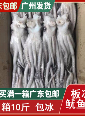 10斤箱 速冻 冷冻新鲜鱿鱼头鱿鱼须鱿鱼足鱿鱼爪鱿鱼串船冻鱿鱼须