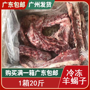 羊蝎子新鲜脊骨20斤内蒙古生牛羊肉羊骨头块汤骨冷冻火锅食材