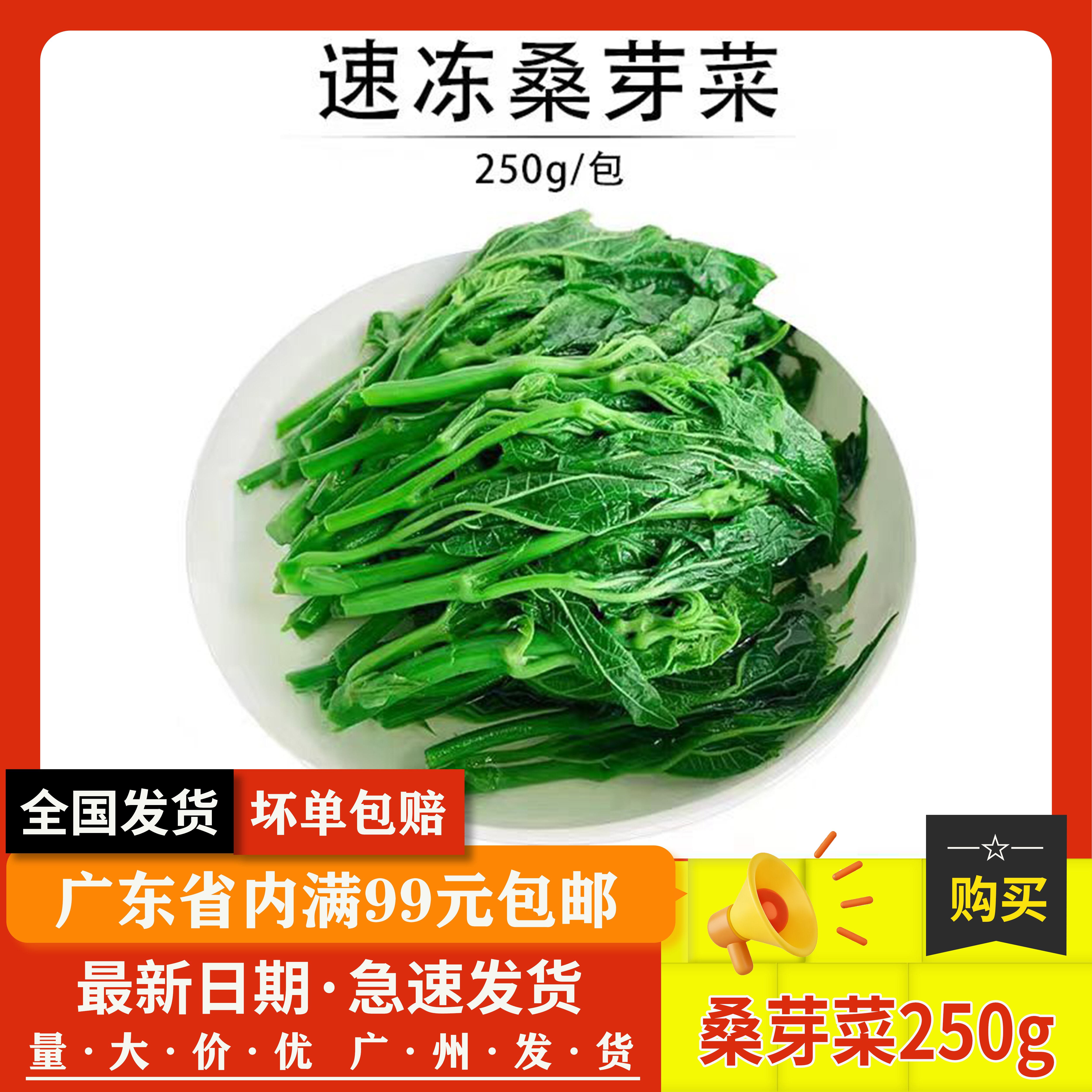 新鲜冷冻桑叶野菜上汤嫩桑芽餐厅桑叶