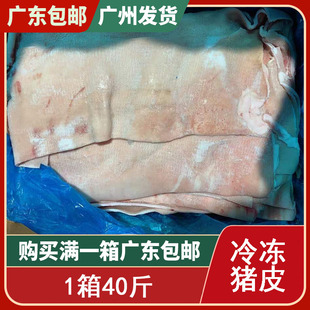 猪皮冷冻新鲜 肉皮新鲜冷冻猪皮 生猪皮 猪肉皮生的 冷冻 40斤装
