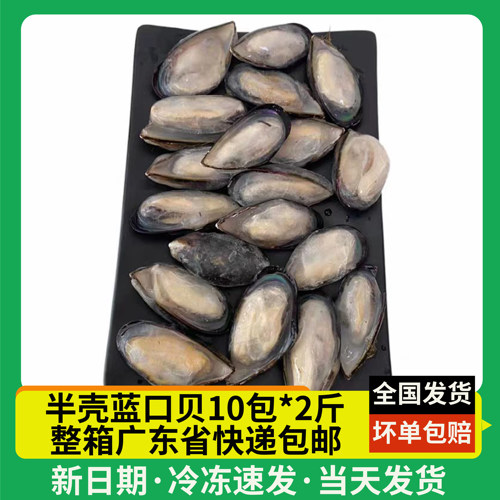 半壳冷冻蓝口贝 青口贝 黑口贝 贻贝淡菜 冷冻贝壳类海鲜 1箱20斤
