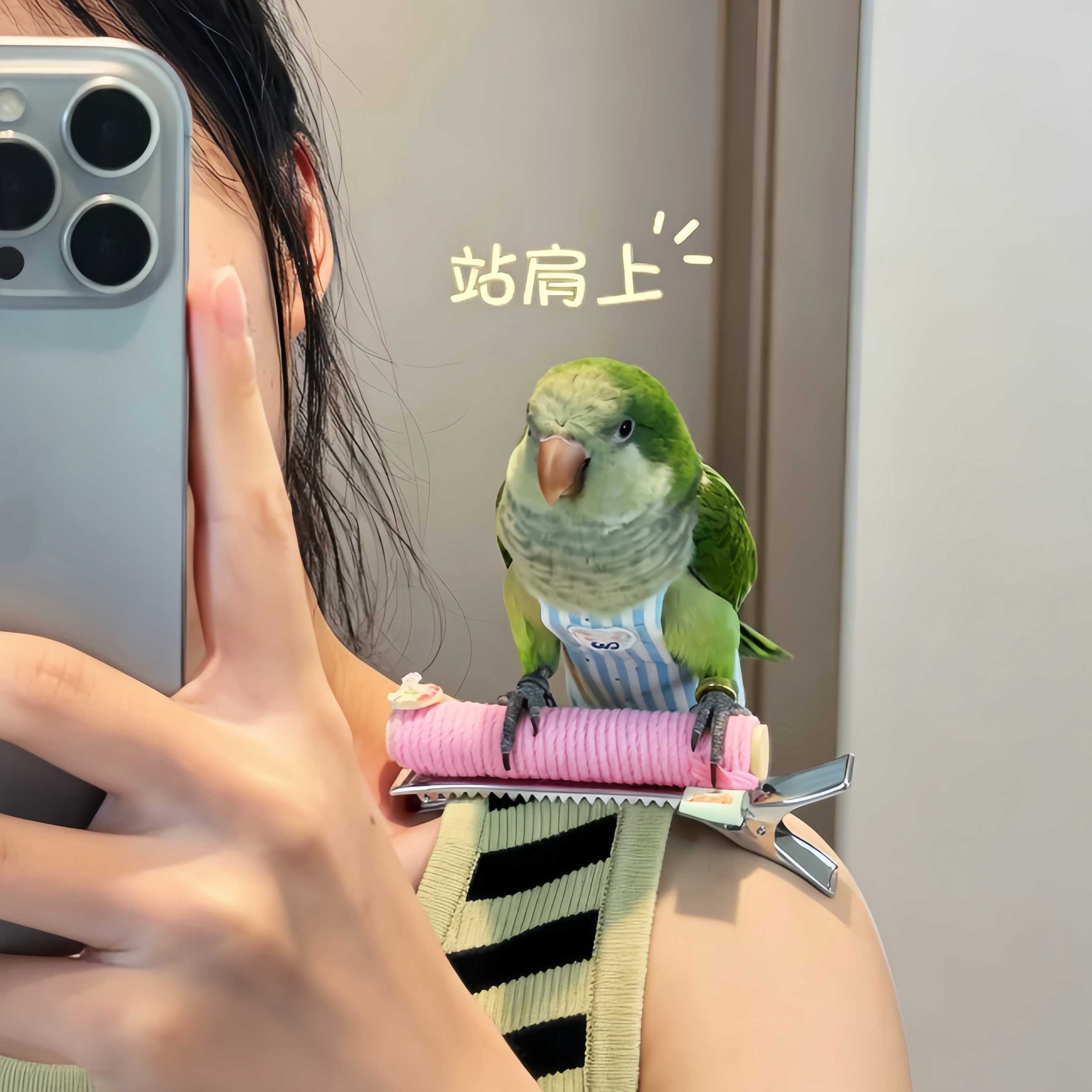 护卫鸟!鹦鹉站杆随心夹互动啃咬麻绳防滑站棍木质发夹站棍鸟玩具