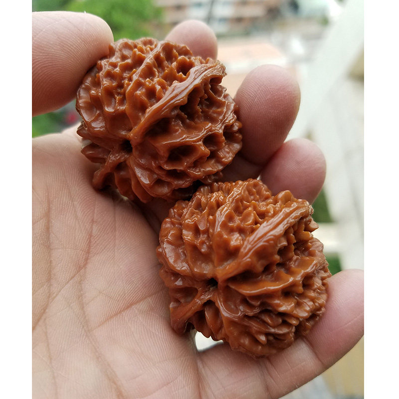 【苹果园】北京门头沟 苹果圆狮子头 易红 上色快 文玩核桃