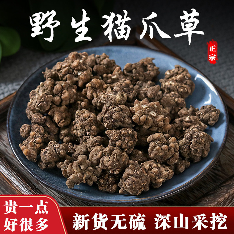 野生猫爪草中新鲜药材正品水洗毛瓜草茶散结汤500g草薬泡水猫抓草