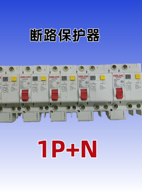 德力西断路保护器1P+N 2P16A20A32A40A63A