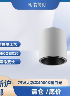 阳光雅致圆形明装筒灯办公工程筒灯75W大功率4000K暖白光外白内黑