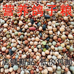 精品鸽粮高蛋白无玉米信鸽营养饲料鸟食观赏鸟赛鸽肉鸽幼鸽成鸽粮