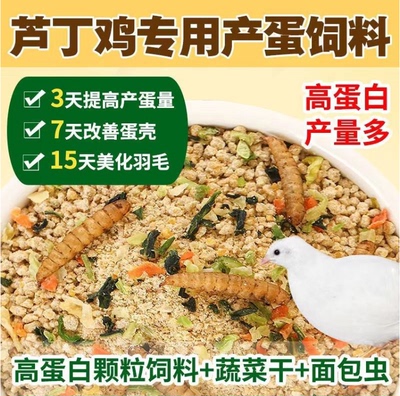 芦丁鸡产蛋饲料繁育高蛋白育雏开口粮蔬菜面包虫鹌鹑生蛋养料专用