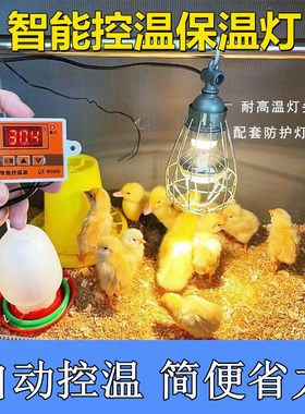 宠物保温灯智能控温器芦丁鸡取暖灯鸟取暖防水防爆灯可调温养殖灯