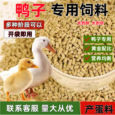 小鸭饲料宠物柯尔鸭小黄鸭小鹅小鸡开口料大颗粒肉鸭产蛋鸭鸡打窝