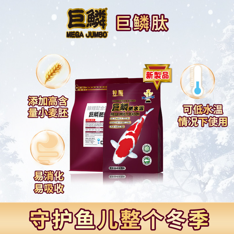 神阳锦鲤主食低水温增体育成饲料