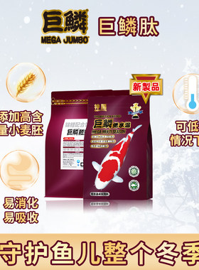 神阳锦鲤主食低水温增体育成饲料