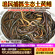 江苏大湖捕捞鲜活土黄鳝鱼活体鳝鱼长鱼活鱼现杀新鲜淡水水产食用
