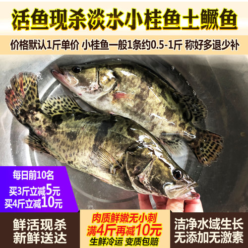 鳌花鱼多少钱 鳌花鱼价格 小麦优选