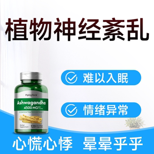 美国进口营养大脑神经修复损伤调节治受损疗植物神经紊乱的药