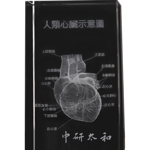 人体心脏耳朵骨骼水晶摆件 3D器官解刨图展示标本医学纪念品礼物
