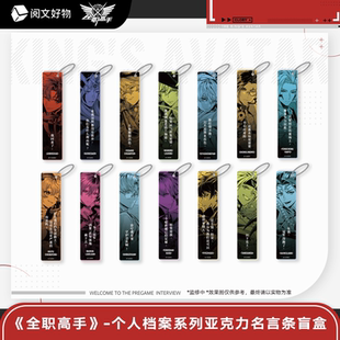 阅文全职高手官周-个人档案系列 亚克力名言条盲盒