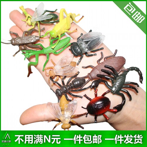 仿真小昆虫硬质海洋鱼类动物套装