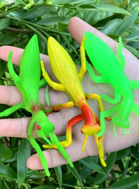 软胶绿色仿真螳螂套装幼儿园儿童认知玩具静态益智小昆虫动物模型