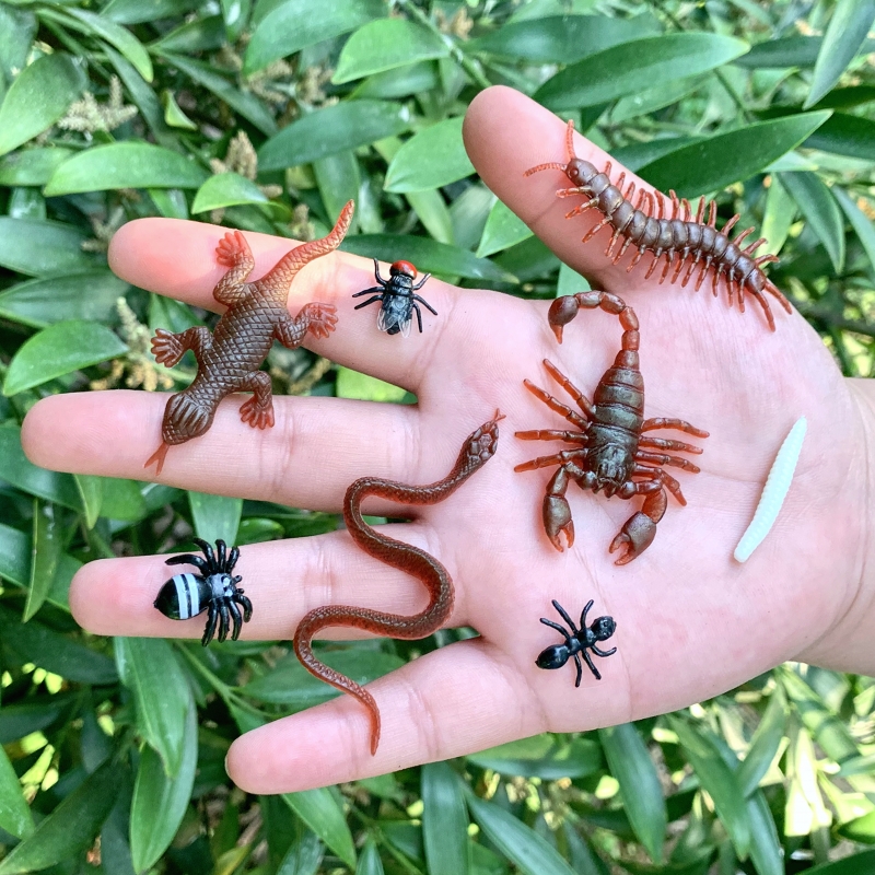 迷你蛇蜘蛛蚂蚁苍蝇蝎子幼儿园儿童玩具静态仿真昆虫动物模型摆件