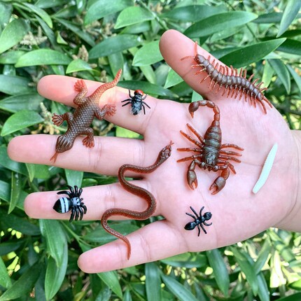 迷你蛇蜘蛛蚂蚁苍蝇蝎子幼儿园儿童玩具静态仿真昆虫动物模型摆件
