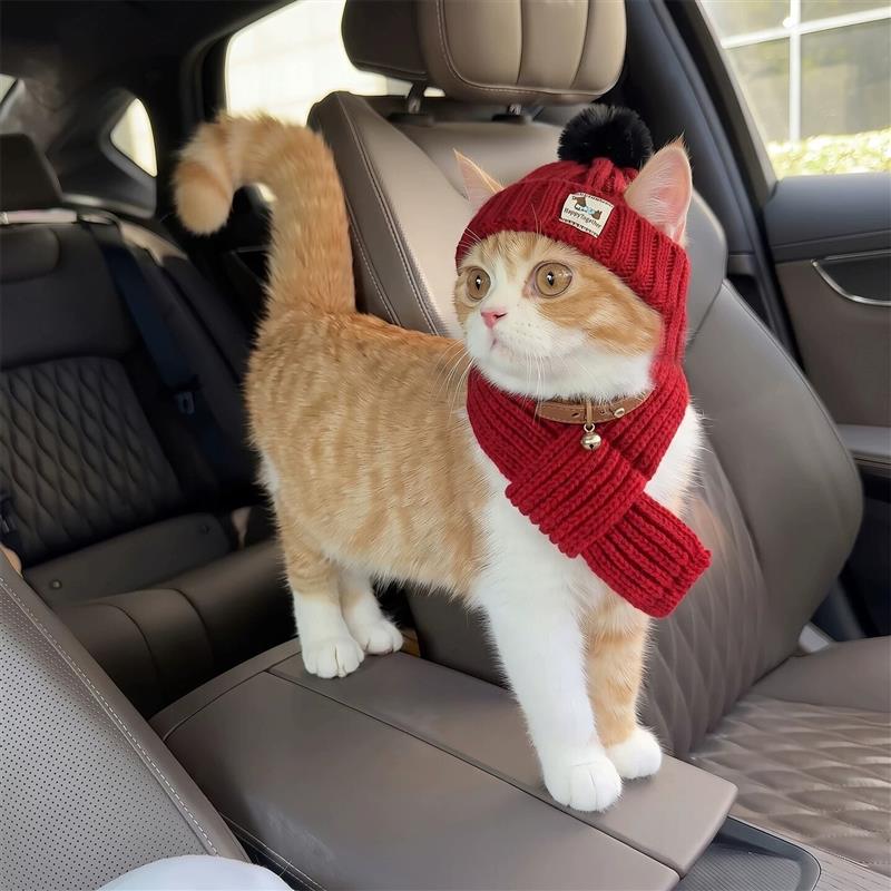 猫咪帽子小狗头套围巾拍照道具露耳朵装饰秋冬保暖针织可爱毛线帽