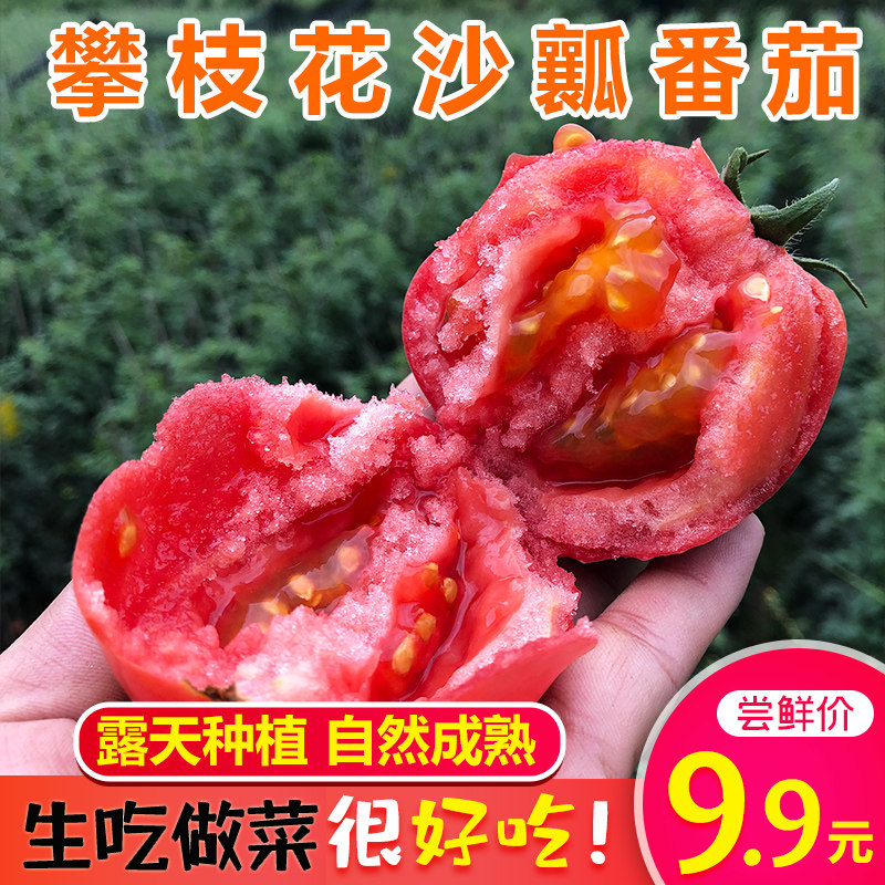 沙瓤番茄自然熟西红柿 新鲜水果生吃的蔬菜5斤包邮攀枝花米易番茄怎么样,好用不?