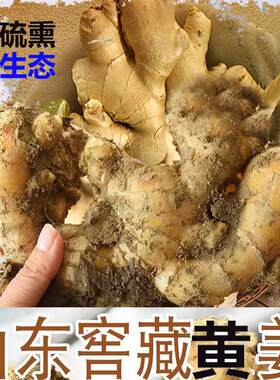 小秋佳园安丘无硫老姜