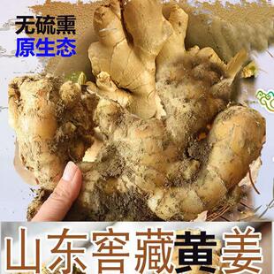 原生态山东特产安丘老姜无硫熏农家种植大黄姜生姜新鲜食用农产品