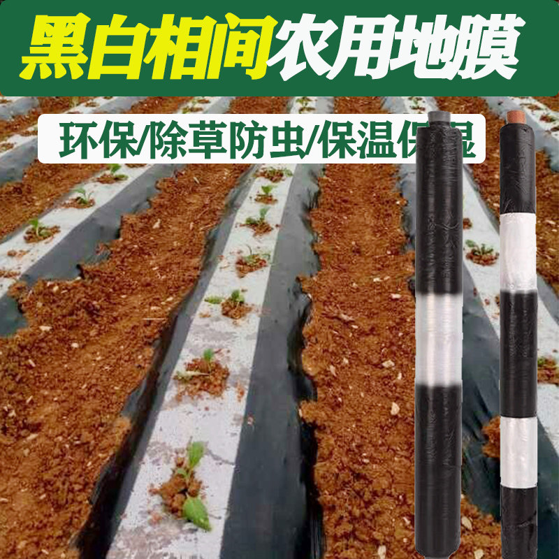 农用黑白相间地膜除草地膜黑色单白双白保湿地膜保温膜加厚覆盖膜