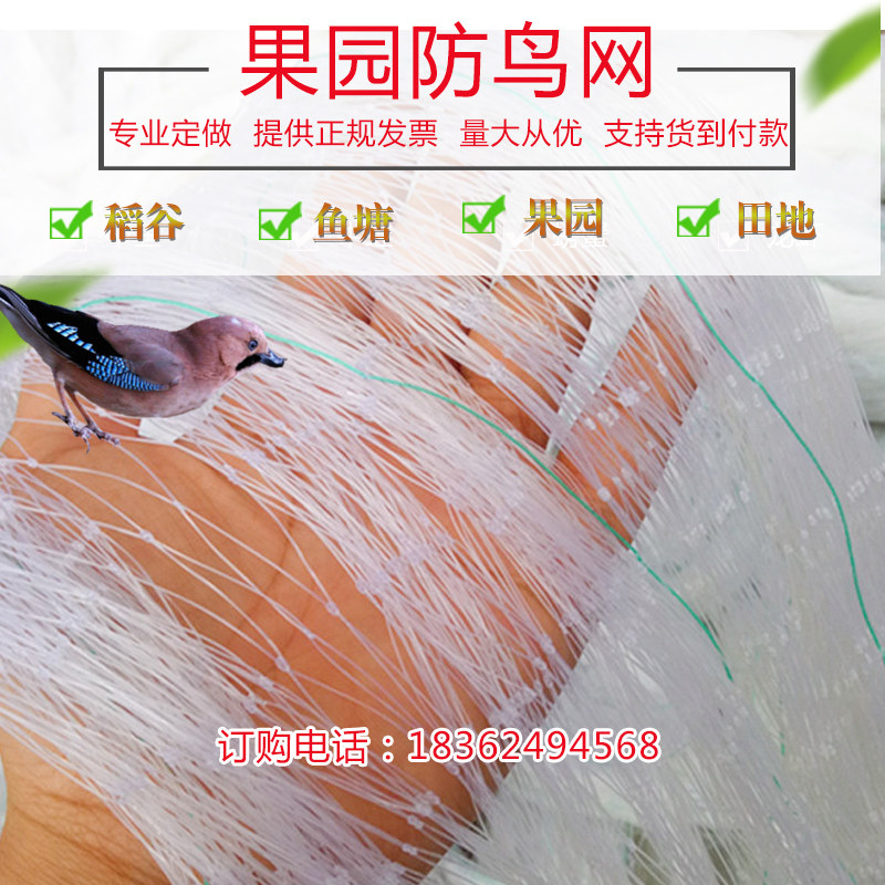 防鸟用网葡萄防鸟网家禽网养殖网网子尼龙网户外樱桃树网罩植物网