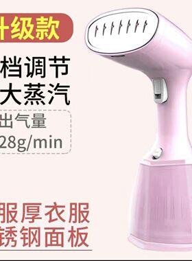 家用手提衣服蒸气手持水真气熨斗