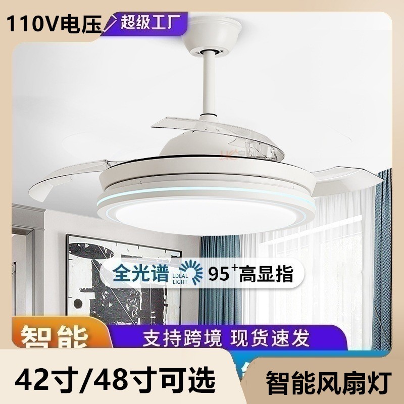 110V American standard fan light frequency conversion intell