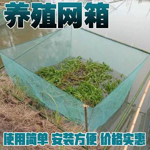 鱼花网箱养水花黄鳝养殖专用加盖水产龙虾孵化育苗10目泥鳅渔网