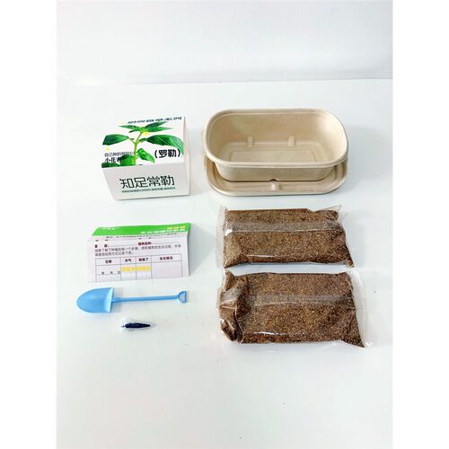 厨房香草香料薄荷家庭可