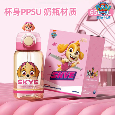 汪汪队杯子儿童水杯幼儿园宝宝水壶汪汪队立大功阿奇天天饮水杯夏
