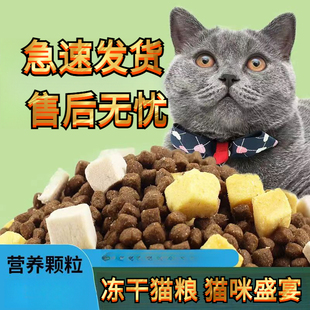 猫粮成猫幼猫全价猫粮平价款通用5斤5斤流浪猫10斤大袋