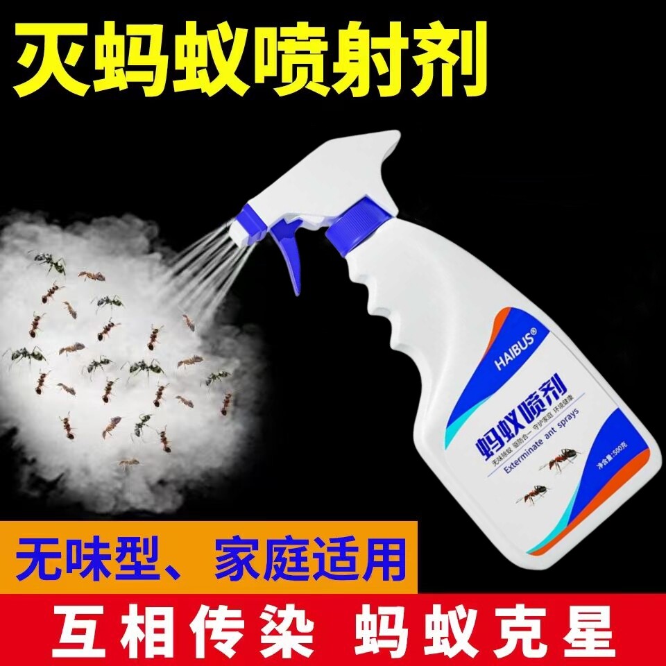 治马义药粘板家里有蚂蚁怎么办灭蚁去除喷雾消灭全窝端除硼砂药粉 - 实物图