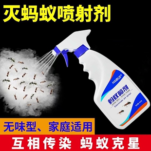 治马义药粘板家里有蚂蚁怎么办灭蚁去除喷雾消灭全窝端除硼砂药粉