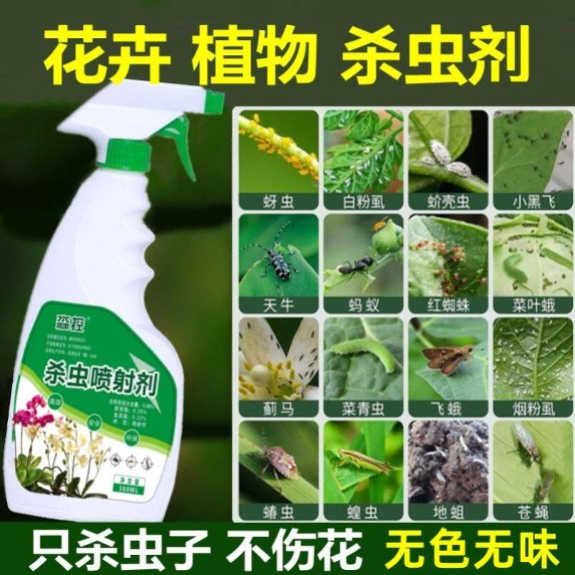 治打除多肉肉上有小白色的虫杀虫剂植物长虫不伤花杀去花虫子的药