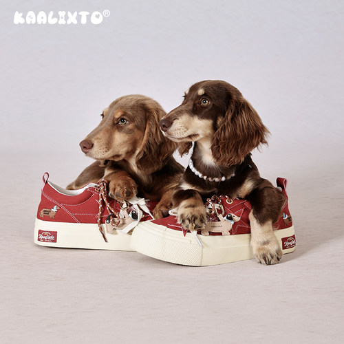 新款休闲百搭厚底增高帆布鞋