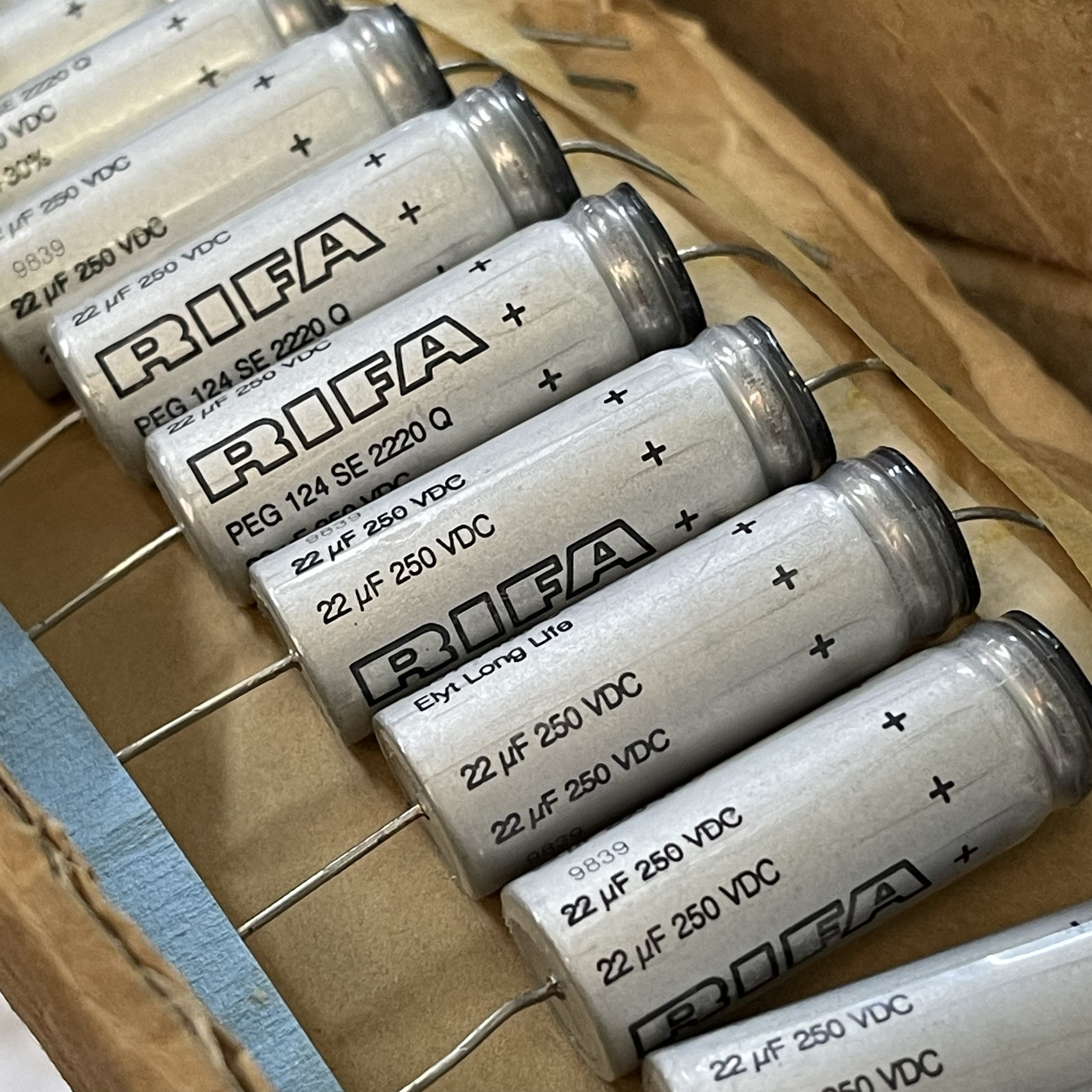 瑞典RIFA力发 PEG124系 22UF 250V 电容