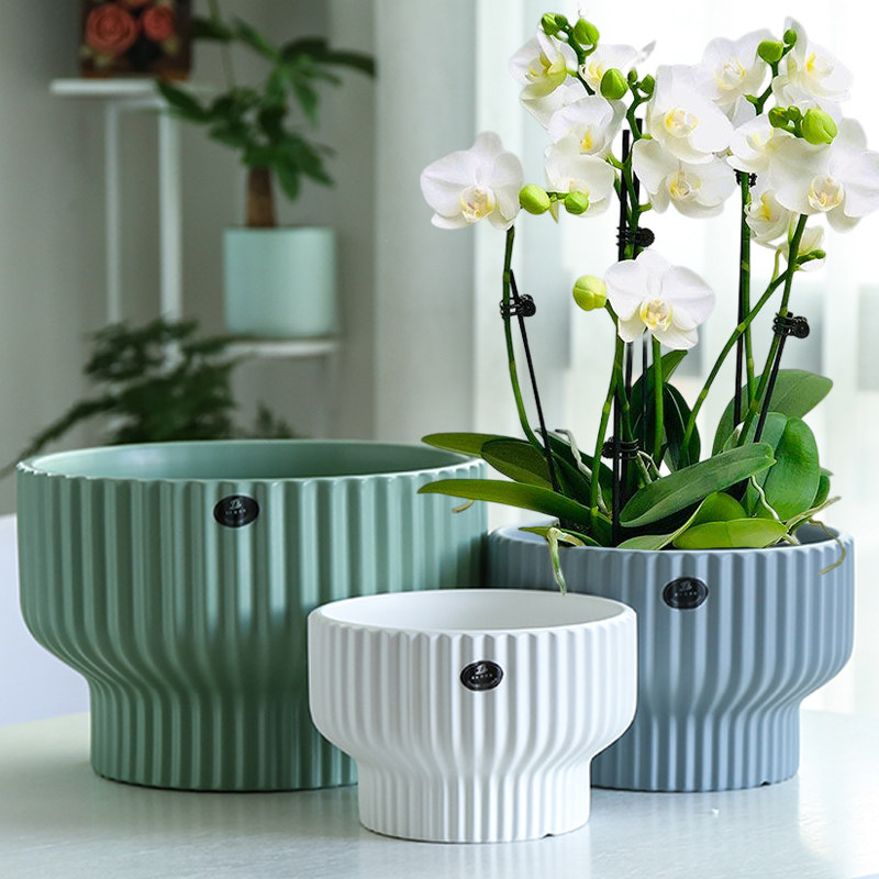 北欧风花盆陶瓷新款送托盘创意高脚竖纹阳台室内绿萝兰花特价包邮,鲜花速递/花卉仿真/绿植园艺,花盆,淘宝优惠券,粉丝福利购,淘宝优惠卷