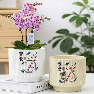 蝴蝶兰花盆陶瓷轻奢高级感家用客厅电视柜办公桌面装饰摆件绿植盆