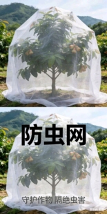 防虫网杨梅树网罩大棚莲雾蓝莓网桃树防鸟网罩罗幔蚊帐防鸟罩全罩
