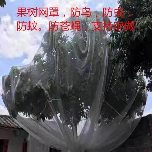 加厚果树防虫网罩防鸟防蚊蝇