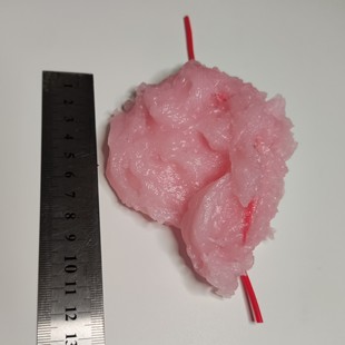 肿物训练模块模型