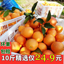 包邮 纽荷尔脐橙新鲜水果现摘现发带叶鲜果当季 十斤大果