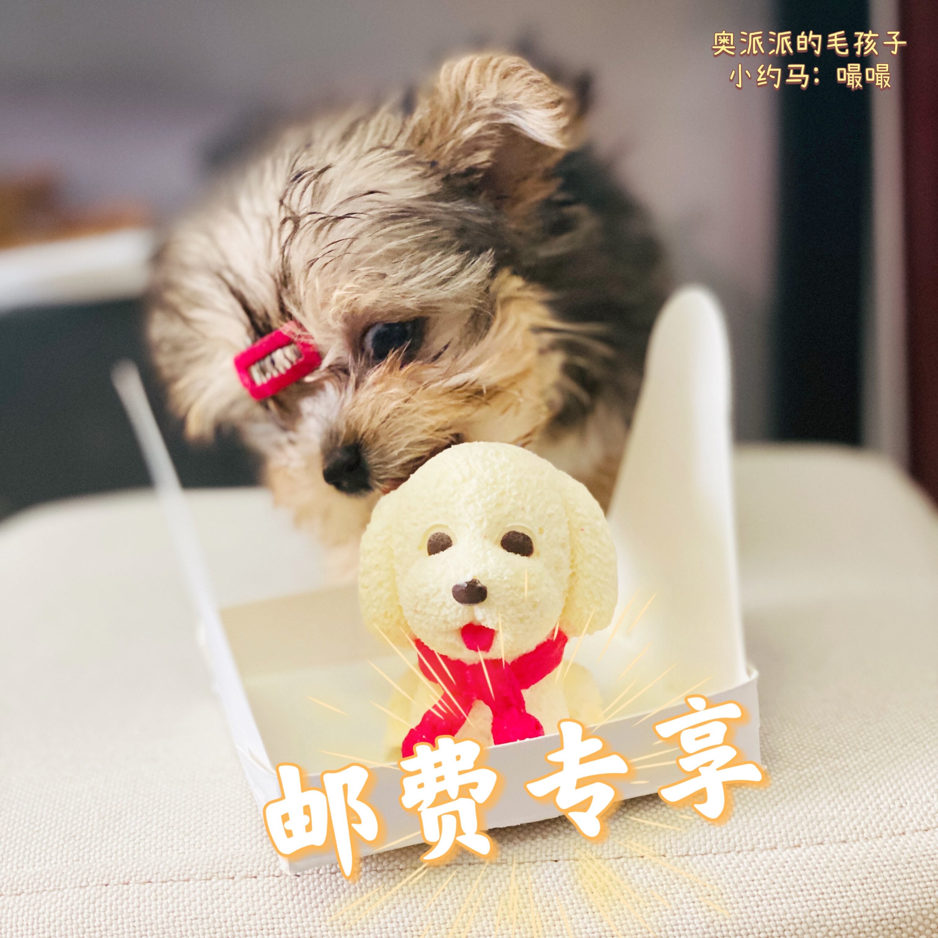 奥派派邮费or差价专享链接图片