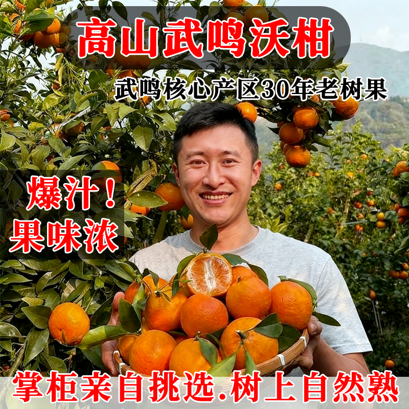 正宗广西武鸣沃柑10新鲜斤橘子水果当季整箱沙糖蜜桔砂糖柑橘桔子